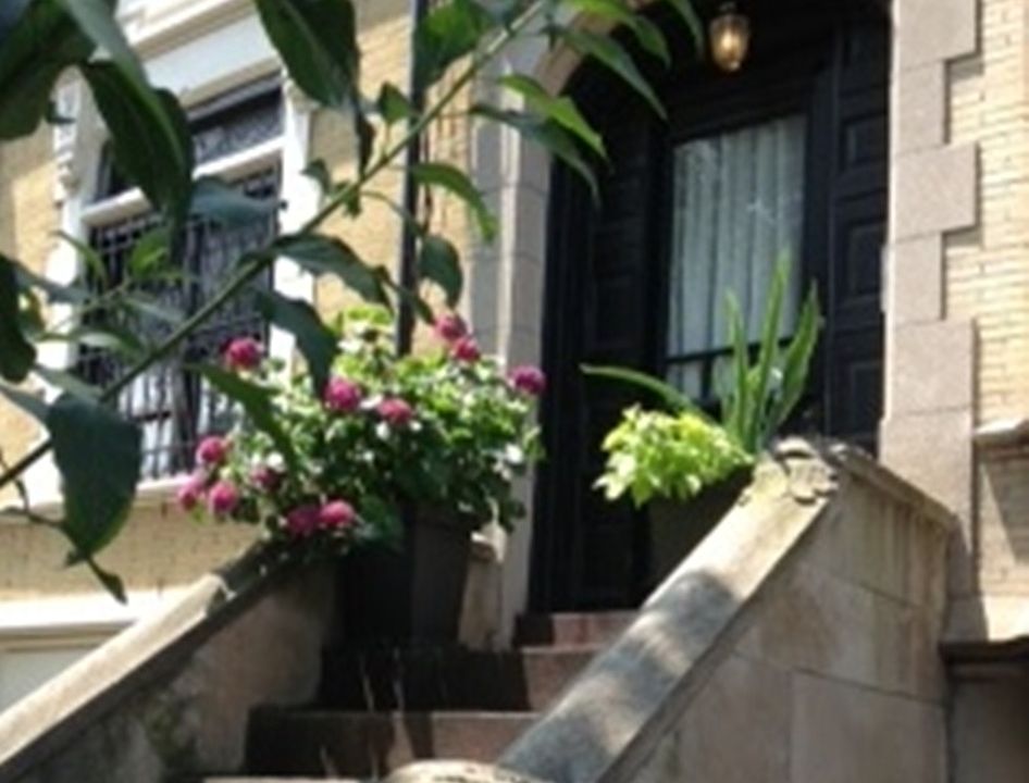 1st image of 294 New York Ave APT 1