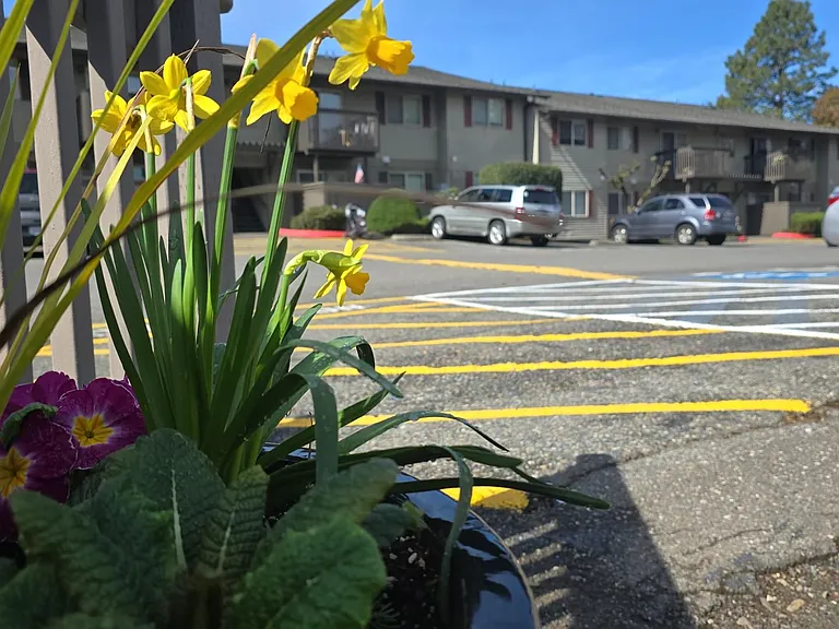 Brookside — Photo 5