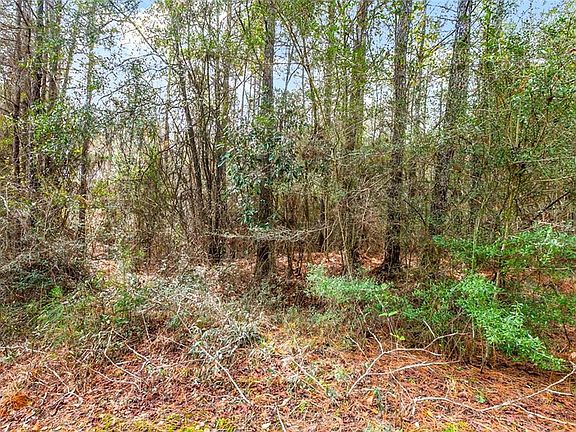 2nd image of 30 Erwin Rd