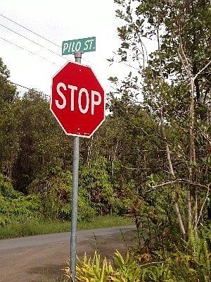5th image of 11-1848 Pilo St Lot 46