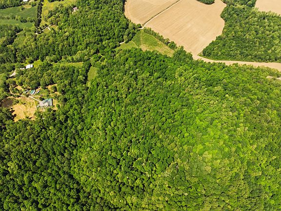 5th image of 2476 Round Hill Rd