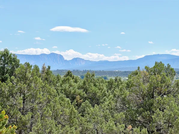 Lots 15 & 16 Park View Hills Subdivision, Los Ojos, NM 87551