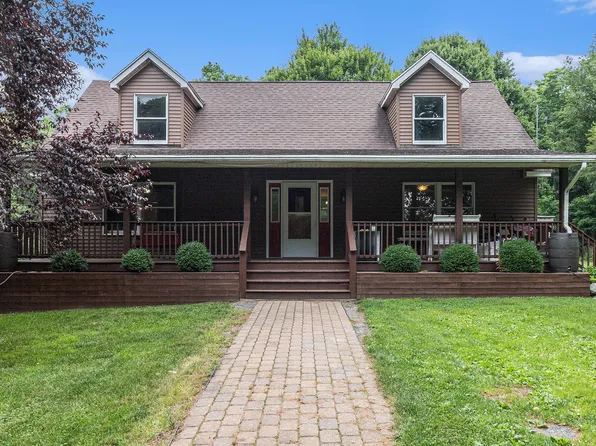 7425 Moeckel Rd, Grass Lake, MI 49240