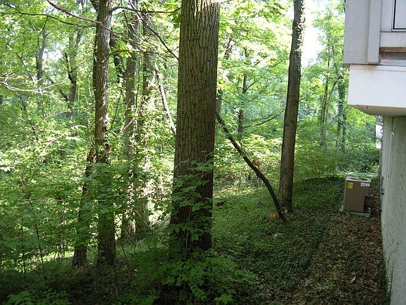 Private, wooded lot.