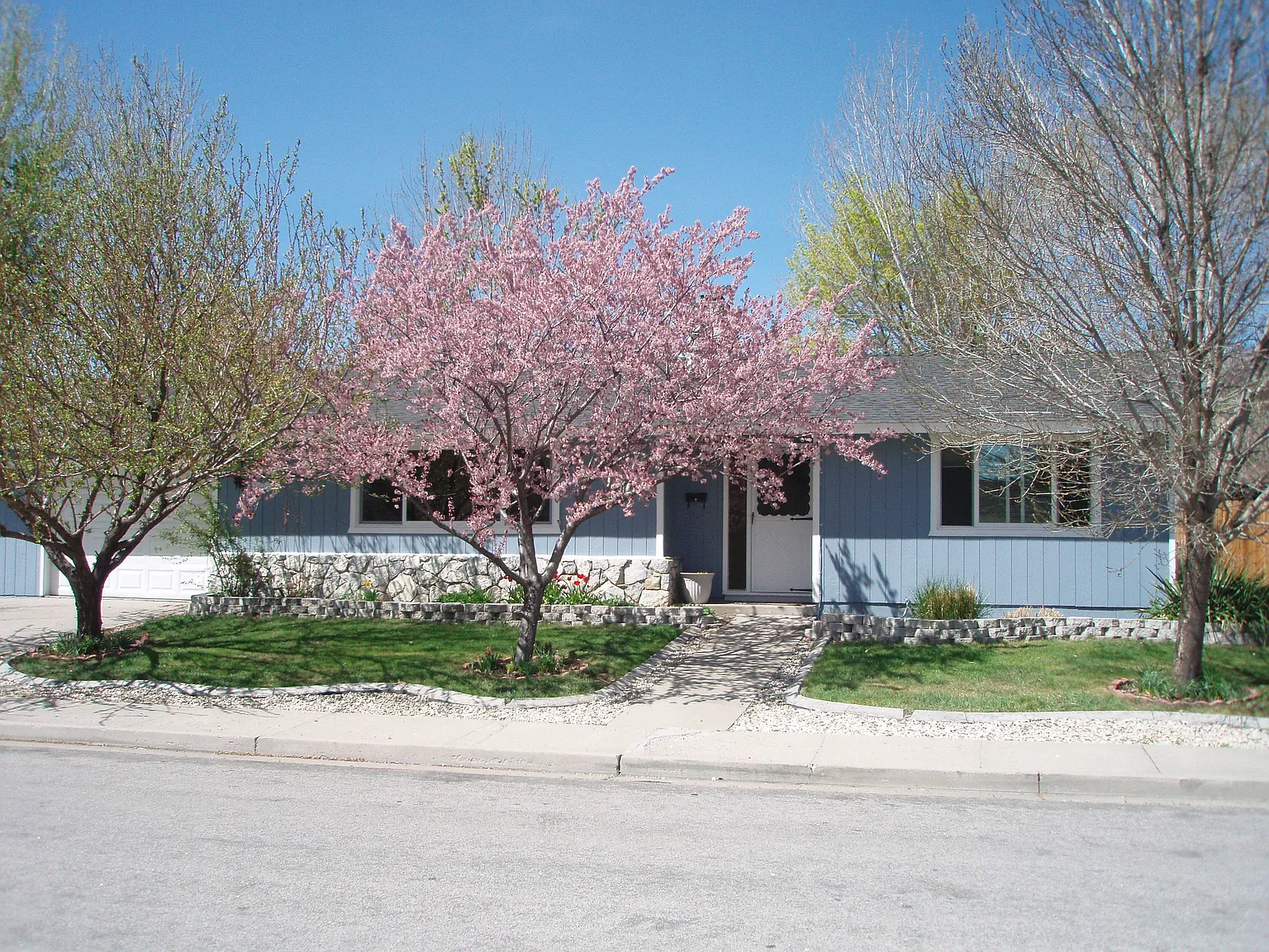 1000 W Sunset Way photo 1