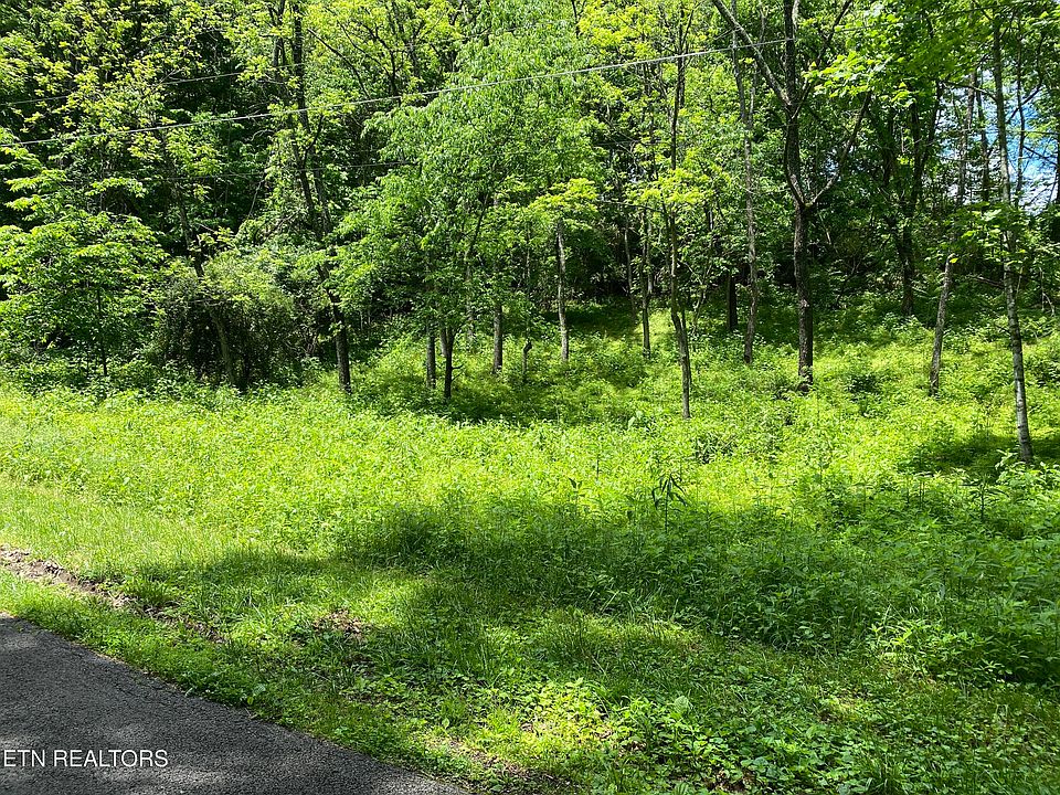2nd image of N Slope Ln