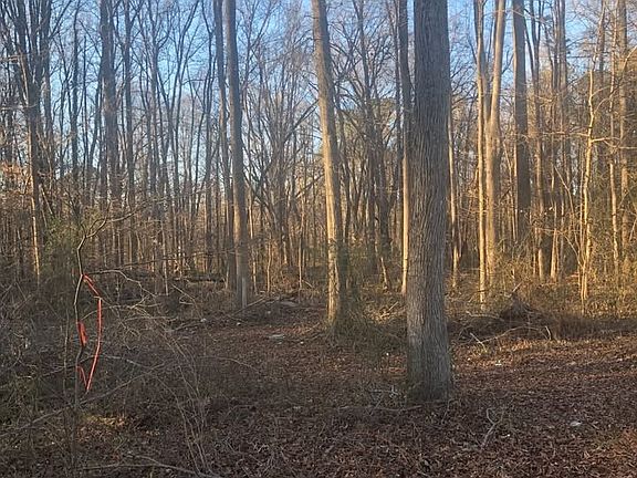 5th image of LOT 6 W Cox Rd Lot 6