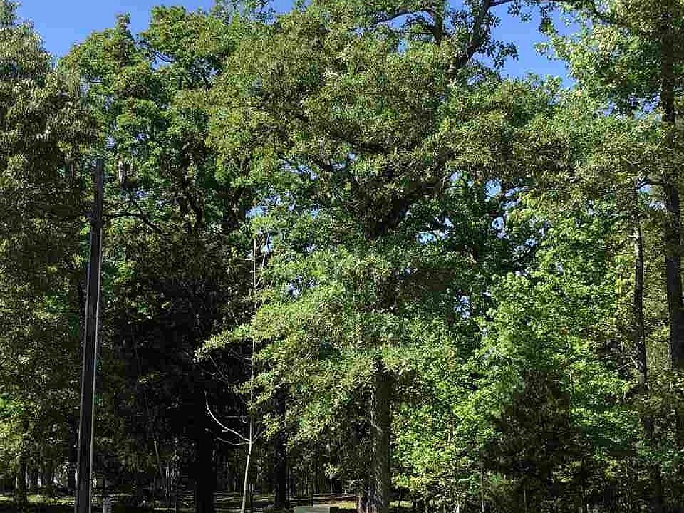 2nd image of 10 Gatewood Ests