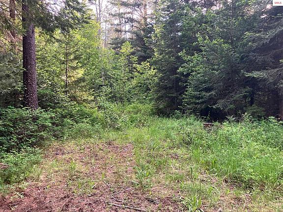 3rd image of 436 Jasper Meadows Ln
