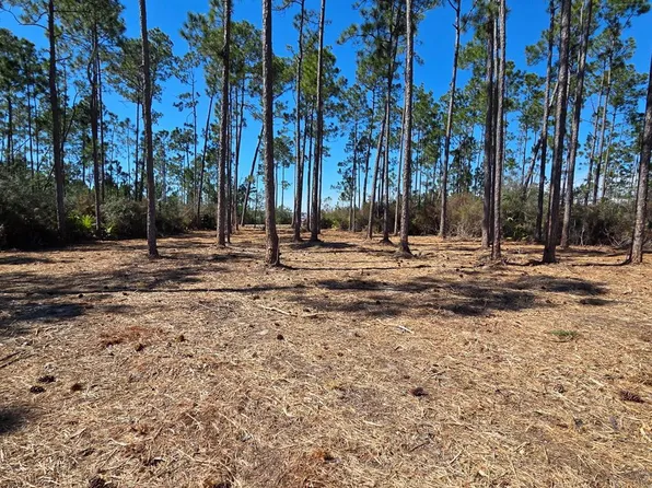LOT 15 Treys Ln, Wewahitchka, FL 32465