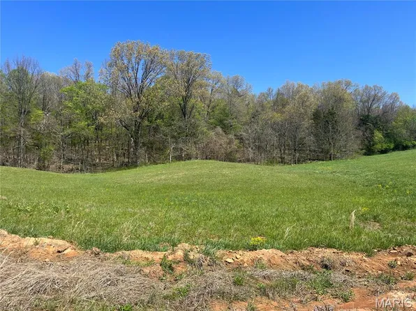 5 County Road 528, Fredericktown, MO 63645
