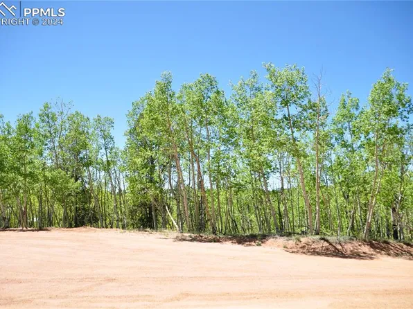 480 Strong Ct, Cripple Creek, CO 80813