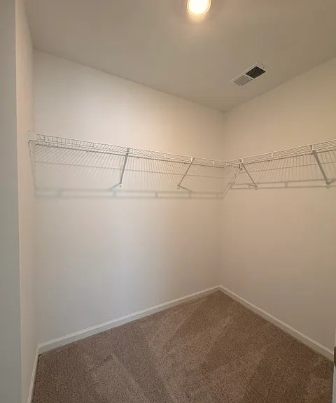 746 Ben Gunn Run — Photo 16