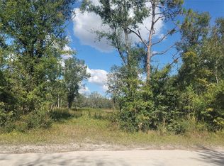 0 Mandrake Rd, Wesley Chapel, FL 33543