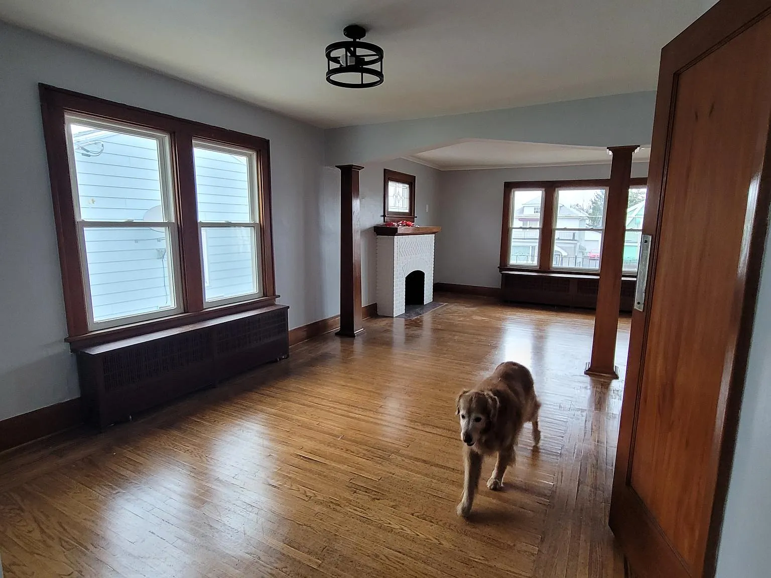 16 Godfrey St — Photo 3