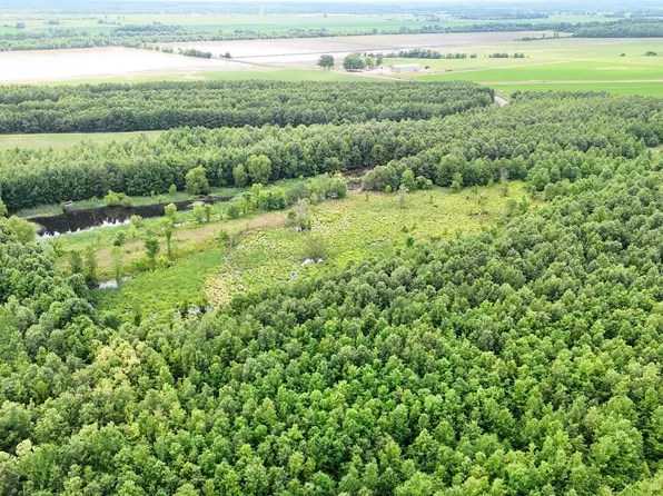 (undisclosed Address), Earle, AR 72331