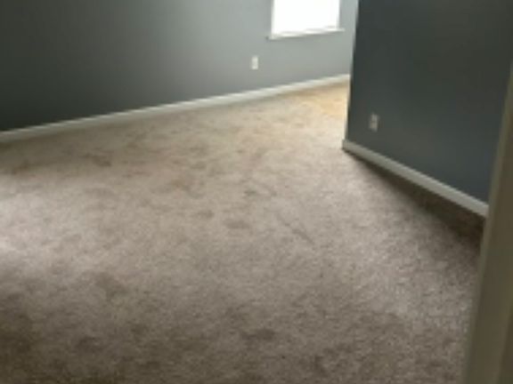 3rd image of 110 Willow Bend Dr