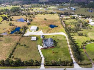 671 Lemon Bluff Rd, Osteen, FL 32764