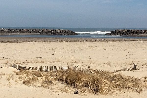 2nd image of 90 Winthrop Shore Dr Unit 90-03A
