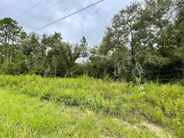 SW Floral Ct #11, Dunnellon, FL 34431