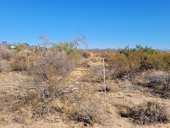 4th image of 334XX W Dove Valley Road #-