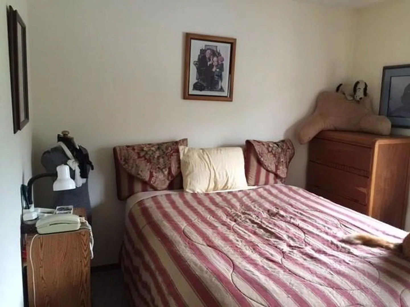 Dillon Valley West Condo! Great Natural Light! — Photo 2