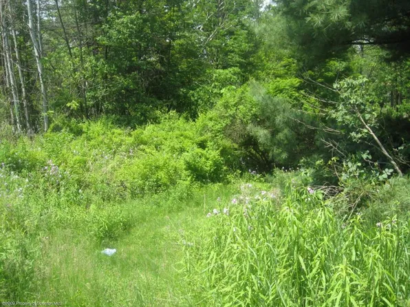 117 S Turnpike Rd, Dalton, PA 18414