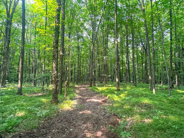 On Liberty Ln, Kennan, WI 54537