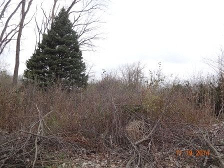 2nd image of 10100 W 159th St