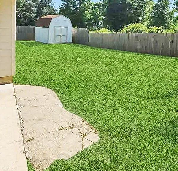 27202 Decker Prairie Rosehill Rd — Photo 25