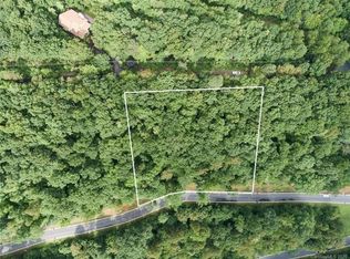 19 Old Greybeard Loop #72, Black Mountain, NC 28711