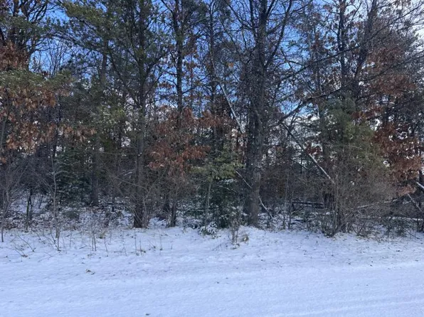 E Jackpine Loop Lot 80, Mio, MI 48647