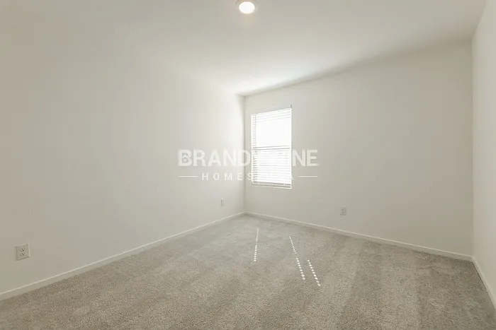 241 Bable Run Dr — Photo 19