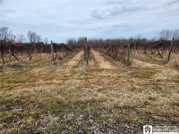 0 Bebee Rd #14, Silver Creek, NY 14136