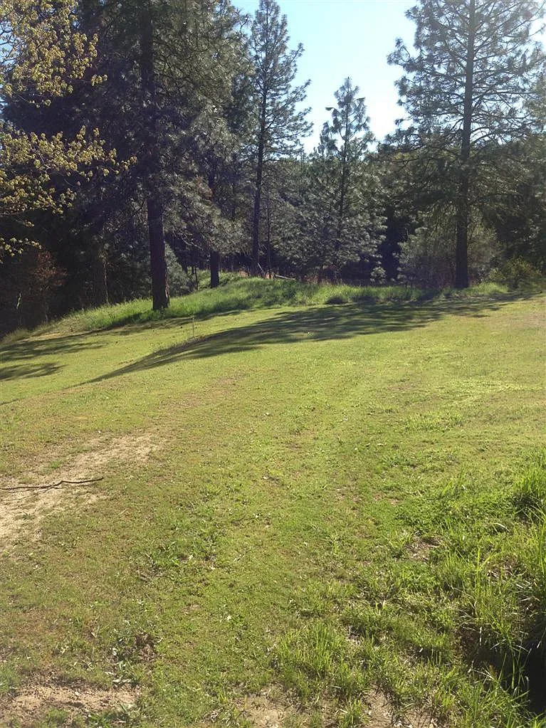 215 Morton Way photo 1