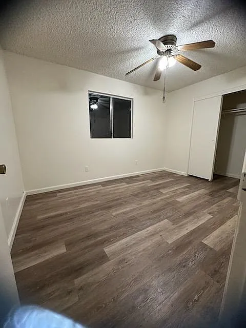 2 bed, 915 sqft, $1,250 — Photo 4