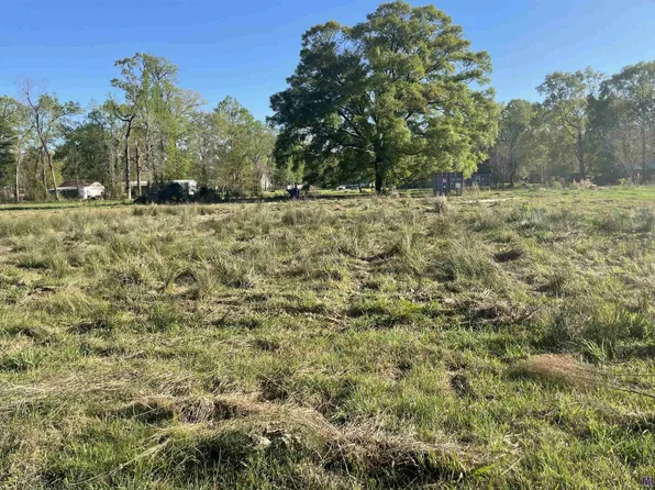 45055 Dena Dixon Ln, Saint Amant, LA 70774