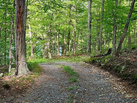 5th image of 368 Simmons Lake Rd