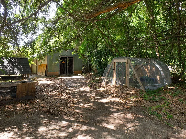 4254 Hickory Rd — Photo 10