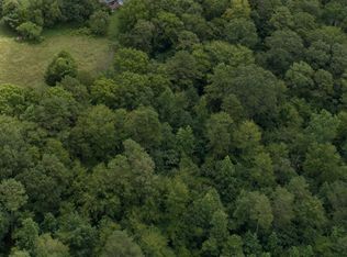 Parton St, Bridgeport, AL 35740