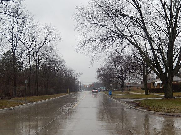 5th image of 23806 Ann Arbor Trl
