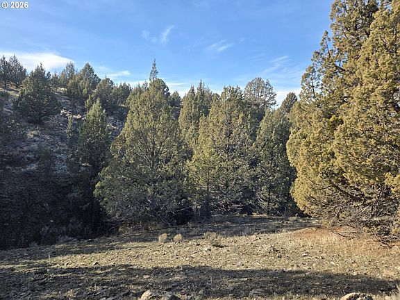 2nd image of Laycock Creek Rd