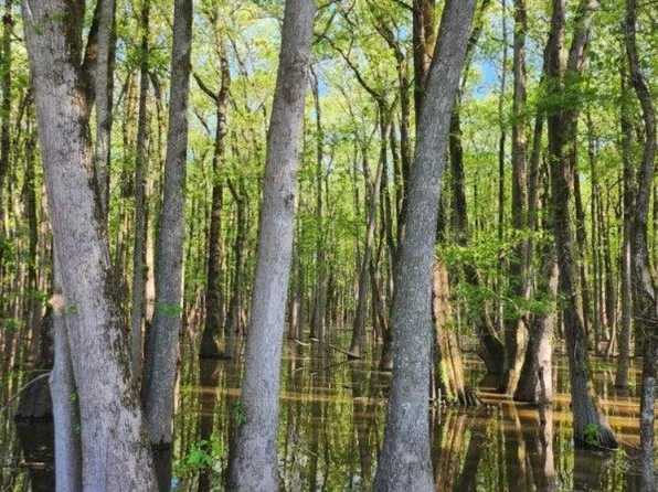 0 Highway 80, Rayville, LA 71269