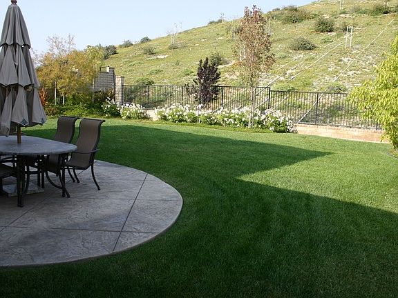 peaceful and private backyard