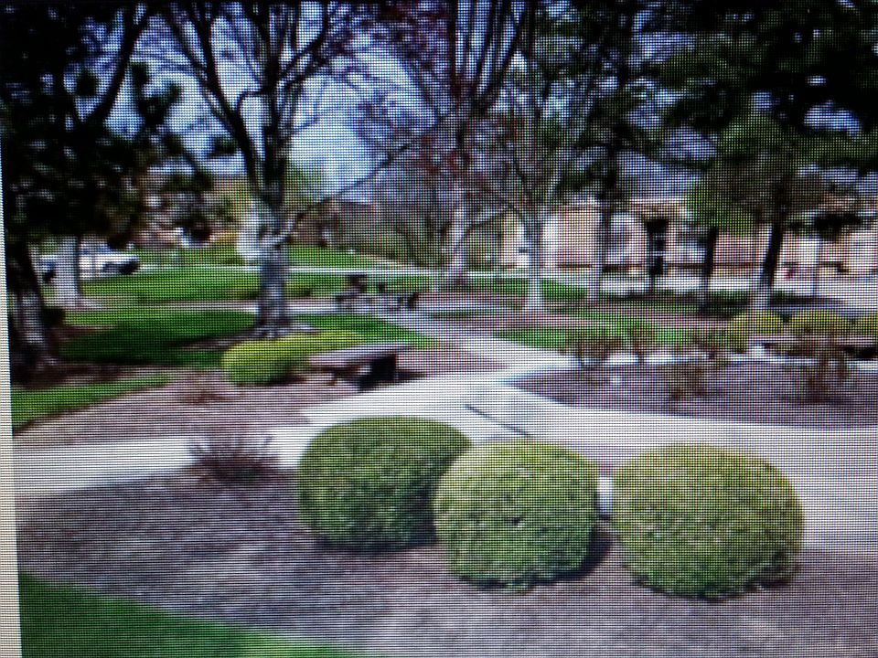 View Park Like Setting