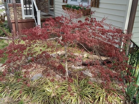 5th image of 952 N Brown St