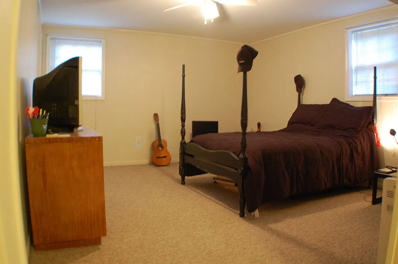 1 bed, 667 sqft, $1,290 — Photo 4