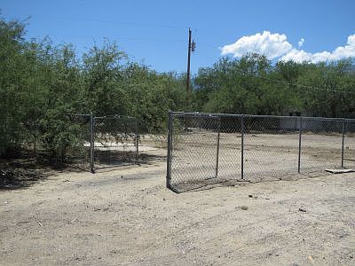 Fenced Back Yard