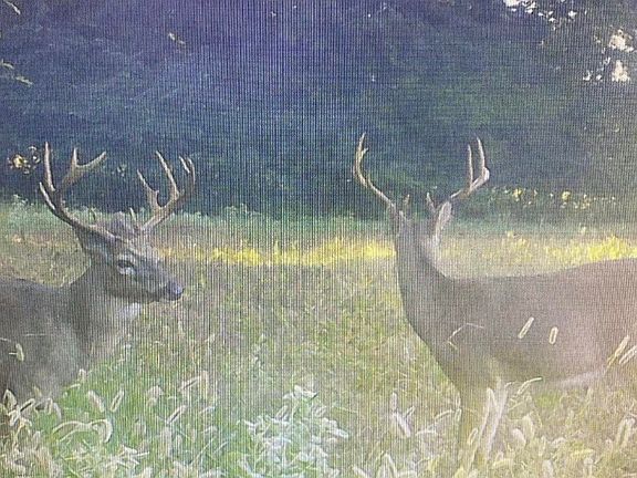 2nd image of No Peyton Rd Lot 4