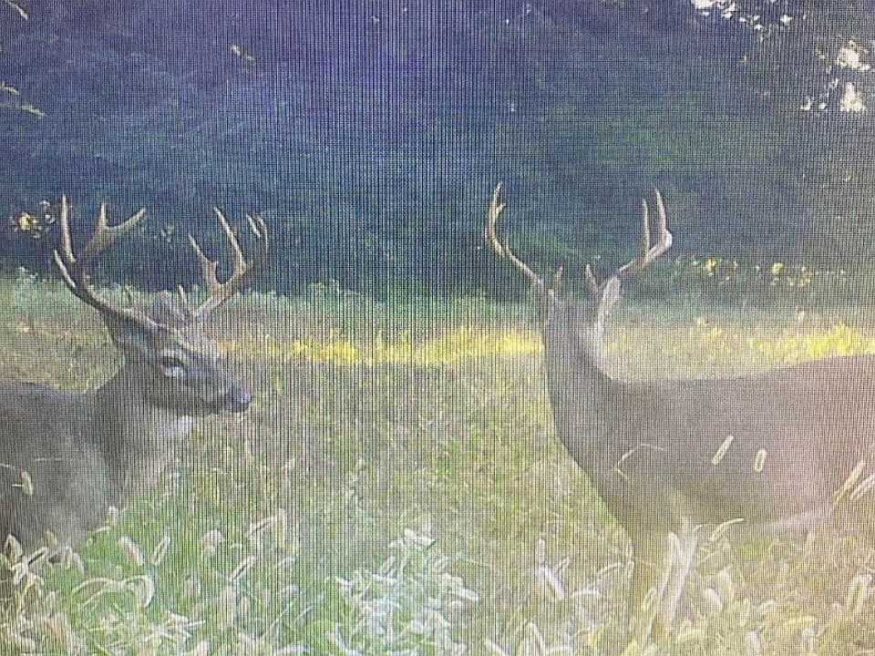 2nd image of Peyton Rd Lot 4